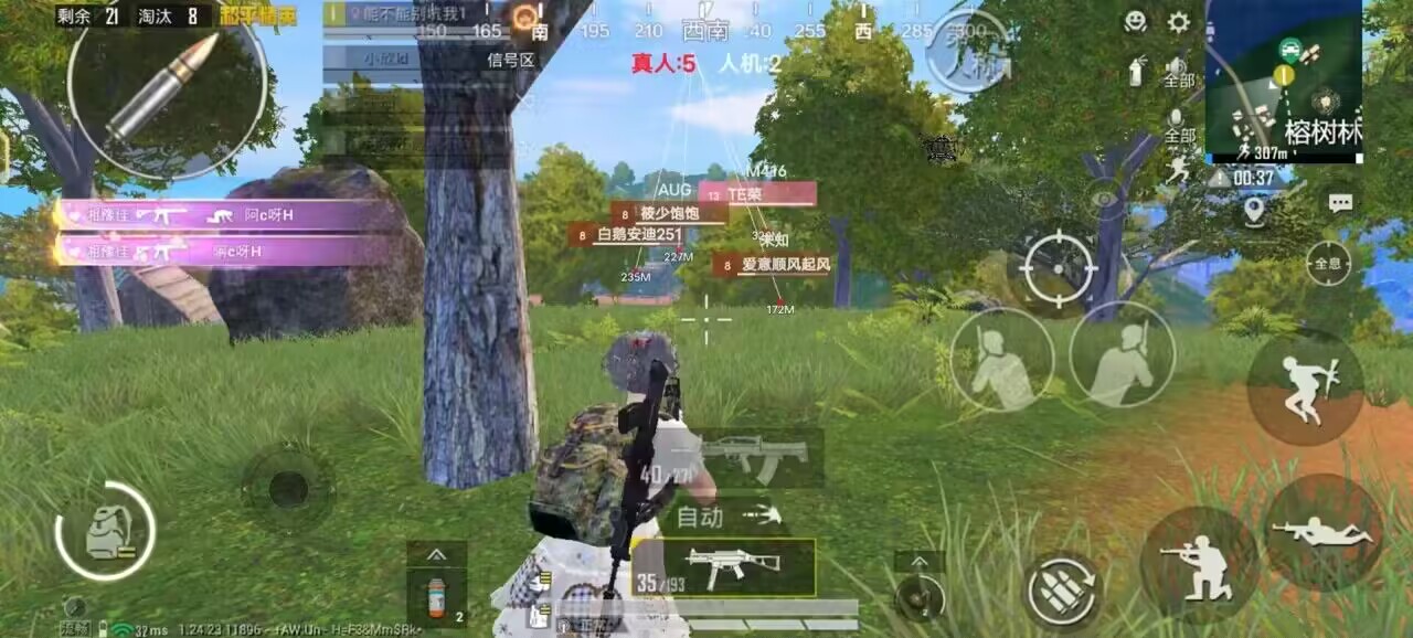 和平精英《向日葵》外挂